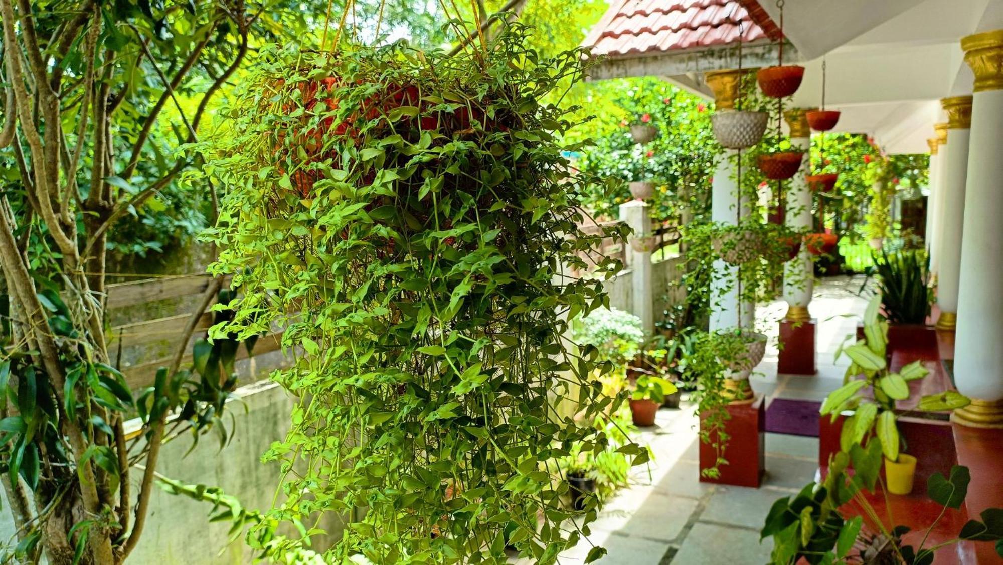 Marari Beach Cleetus Homestay Mararikulam Exterior photo